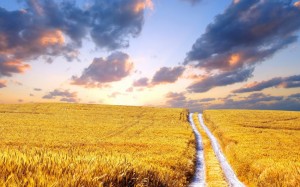 vacanta de vara la bunici